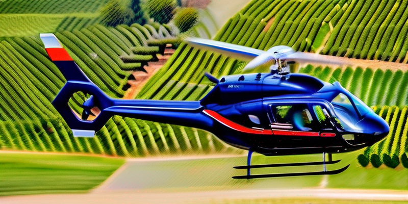 Exclusive Helicopter Wine Tour & Private Vineyard Luncheon