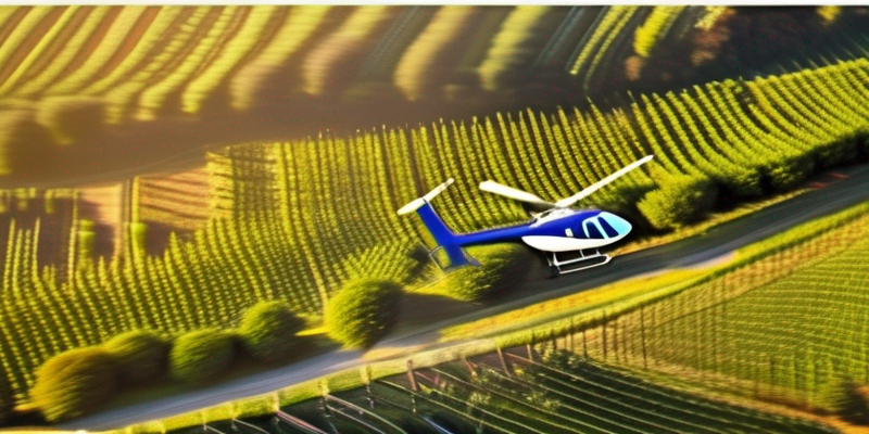 Helicopter Wine Tour: Soaring Above Vineyards in Style