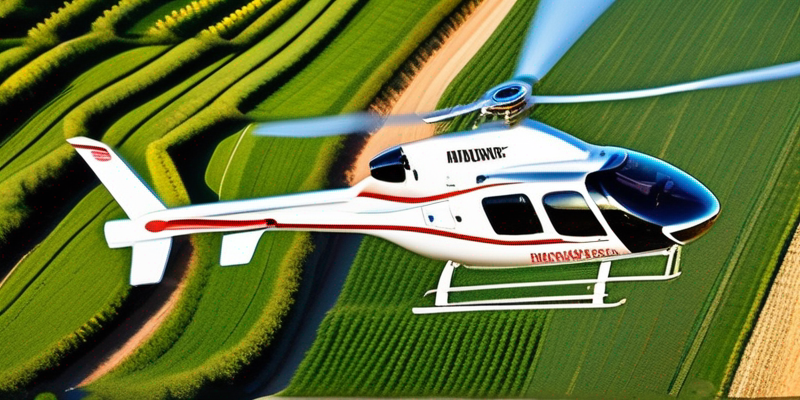 Luxury Helicopter Wine Tour: Vineyard Hopping from Above