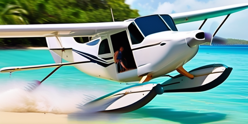 Private Island Escape: Exclusive Seaplane Tour & Beach Retreat